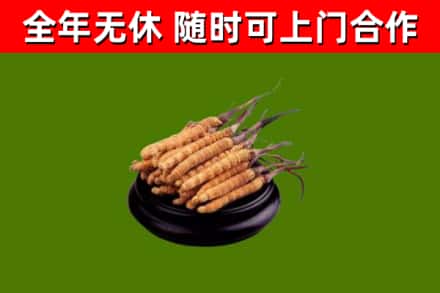 下陆区烟酒回收冬虫夏草.jpg